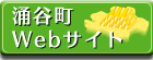�O�J��Web�T�C�g